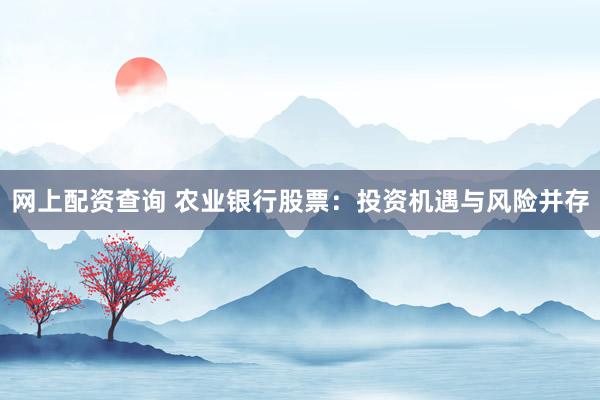 网上配资查询 农业银行股票：投资机遇与风险并存